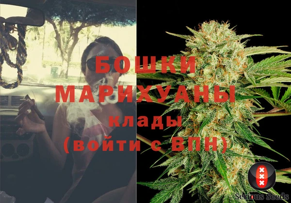 шишки Алзамай