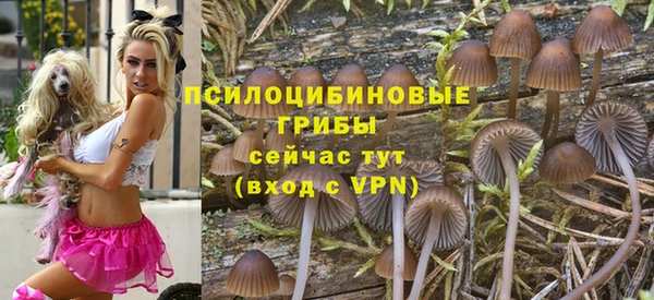 мескалин Алексин