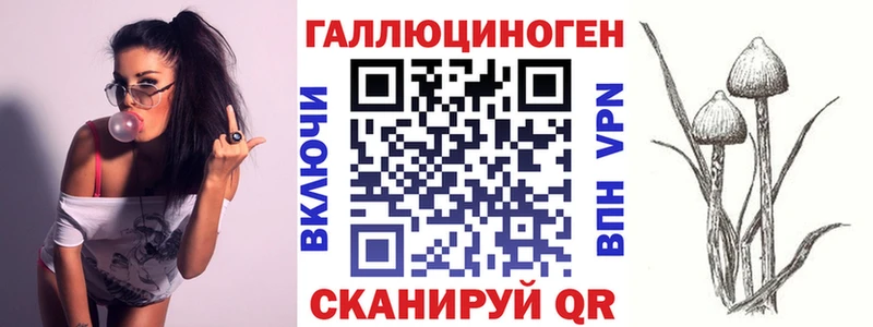 Псилоцибиновые грибы мицелий  Камышин 