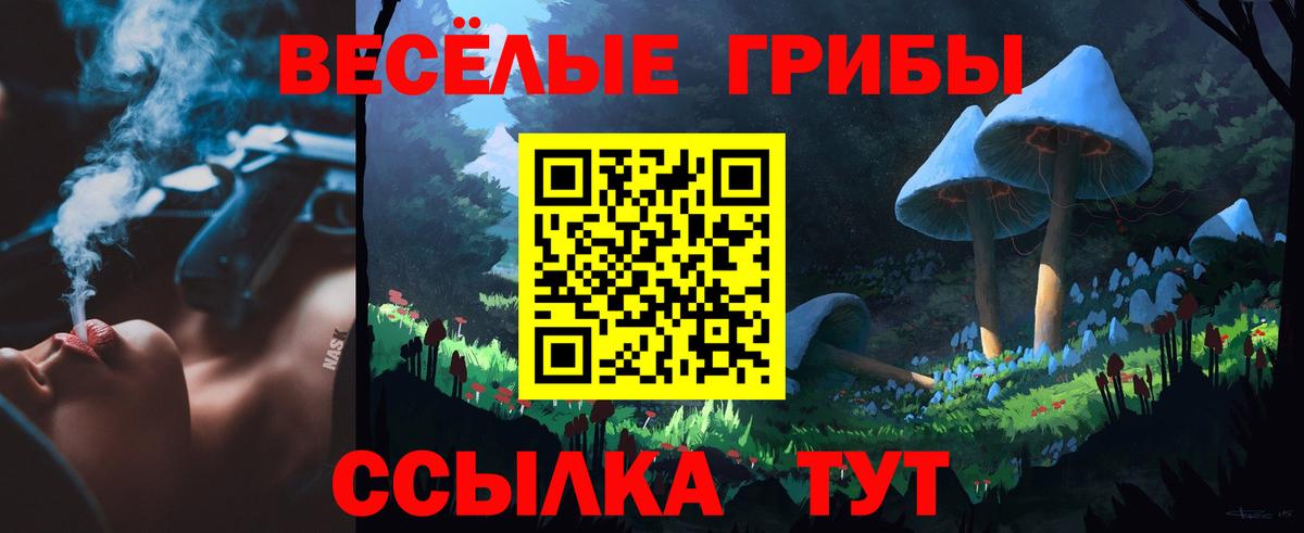 Псилоцибиновые грибы ЛСД  Вход с VPN  Камышин 